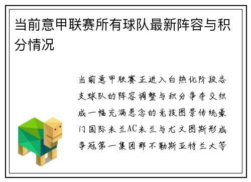 当前意甲联赛所有球队最新阵容与积分情况